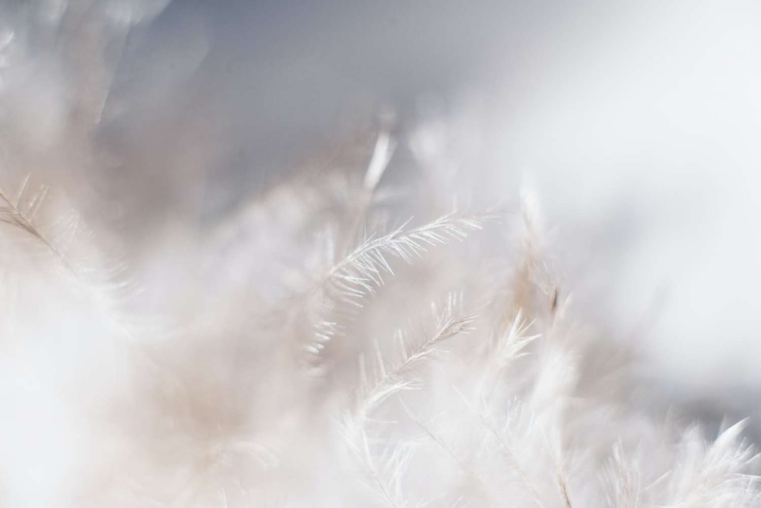 Evie s Sw7f58YJbc0 unsplash